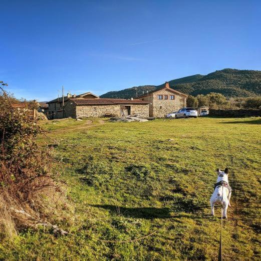 La Candileja อาบีลา ภายนอก รูปภาพ